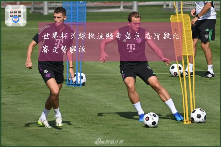 世界杯买球投注赔率盘点 各阶段比赛走势解读