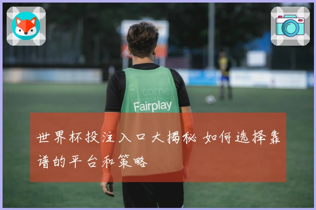 世界杯投注入口大揭秘 如何选择靠谱的平台和策略