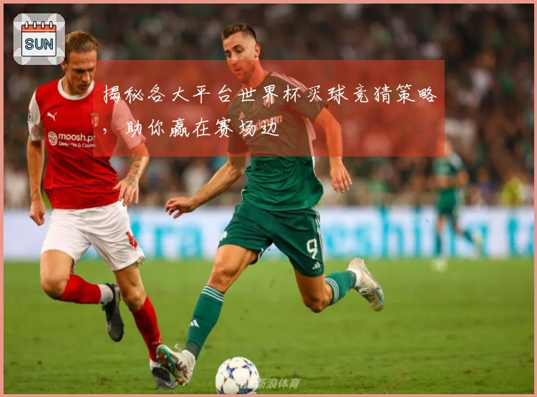 揭秘各大平台世界杯买球竞猜策略，助你赢在赛场边