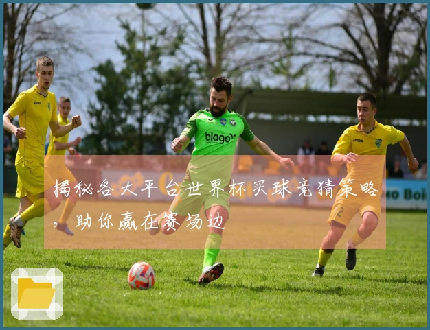 揭秘各大平台世界杯买球竞猜策略，助你赢在赛场边