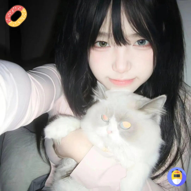用户头像